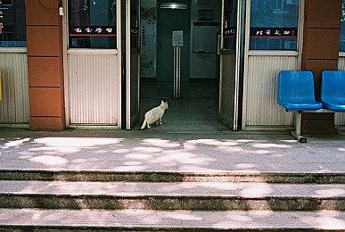 《极品飞车：不羁》全新实机演示 可自定义风格特效