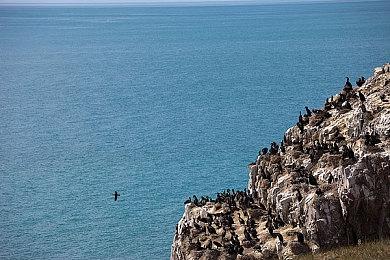 《现尝好滋味！超级猴子球1&2重制版》新增加的模式和功能介绍 