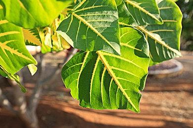 外媒精选值得15款PS3佳作 独占神机